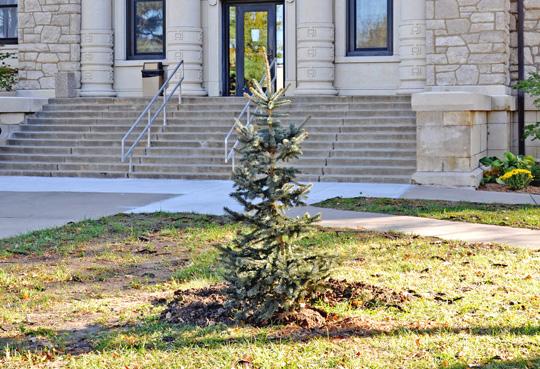 Donovan Cook, professor for the education department, passed away this past June. An honorary memorial was held last week, with a tree planted in his name.
