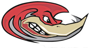 RoadRunners handle Bulls
