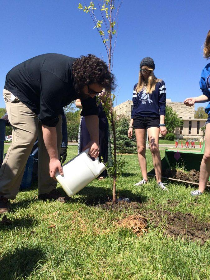 Tree planting dedicated to survivors of sexual assault and domestic violence