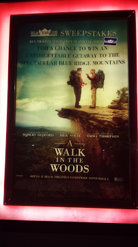 Movie+Review%3A+A+Walk+in+the+Woods+charms+old+and+young