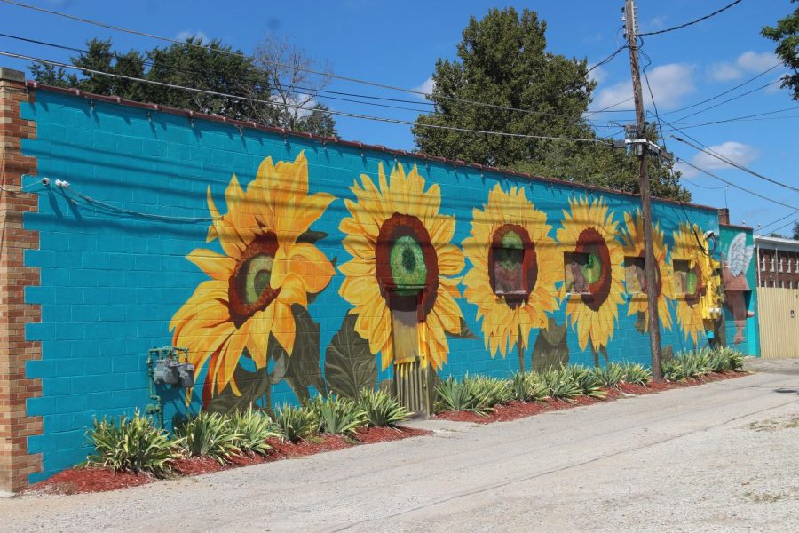 This local mural is located in the NOTO Art District in Topeka, KS. It was created by award winning artist Jennifer Bohlander, who wanted to share the Kansas State sunflower with the community.