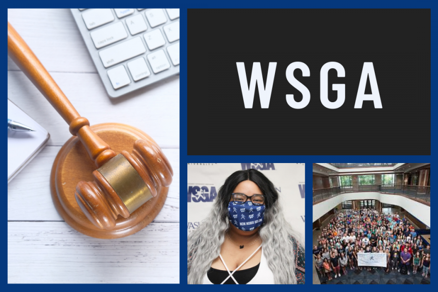 WSGA Elections