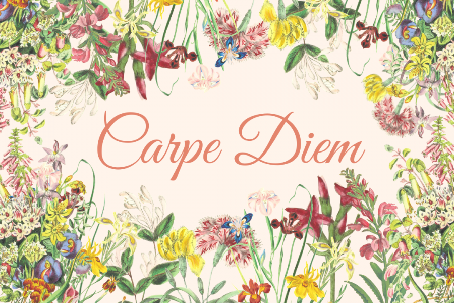 Carpe diem: This Latin phrase means seize the day. Horace, a Roman poet, used this phrase in his published work from 23 BCE. He wanted to convey that individuals should enjoy life while they can.