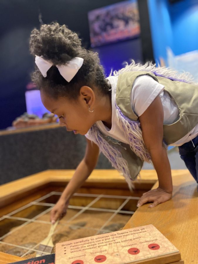 Visitors can use brushes to carefully uncover nests of dinosaur eggs in Dig Pits as part of the new Tiny Titans: Dinosaur Eggs and Babies exhibit at the Kansas Childrens Discovery Center. The exhibit is open through May 30 and is part of Topeka Dino Days.