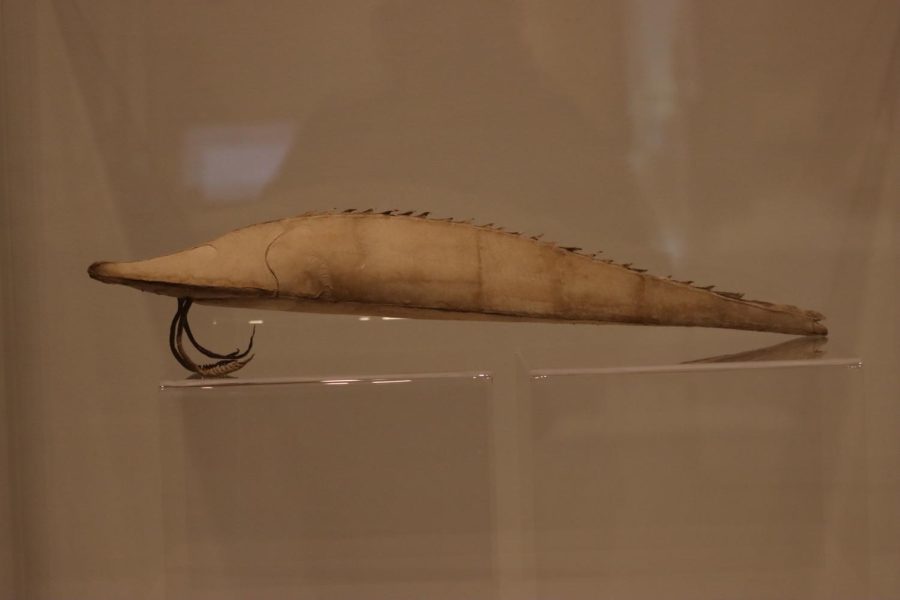 “Final Sturgeon/Sturgeon with Barbels (2018)” by Winifred Lutz on display in case. It was cast and coiled with high shrinkage unbleached flax paper.