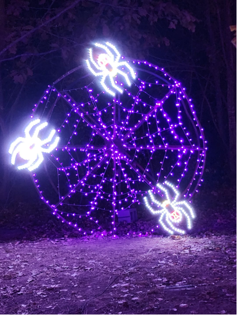 The song “Spooky Scary Skeletons” plays as attendees walk through the trail. This arrangement of spider lights can be found on  the trail of lights. 
