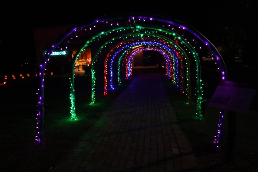 A multi-color lit walkway many viewers love strolling through. 
