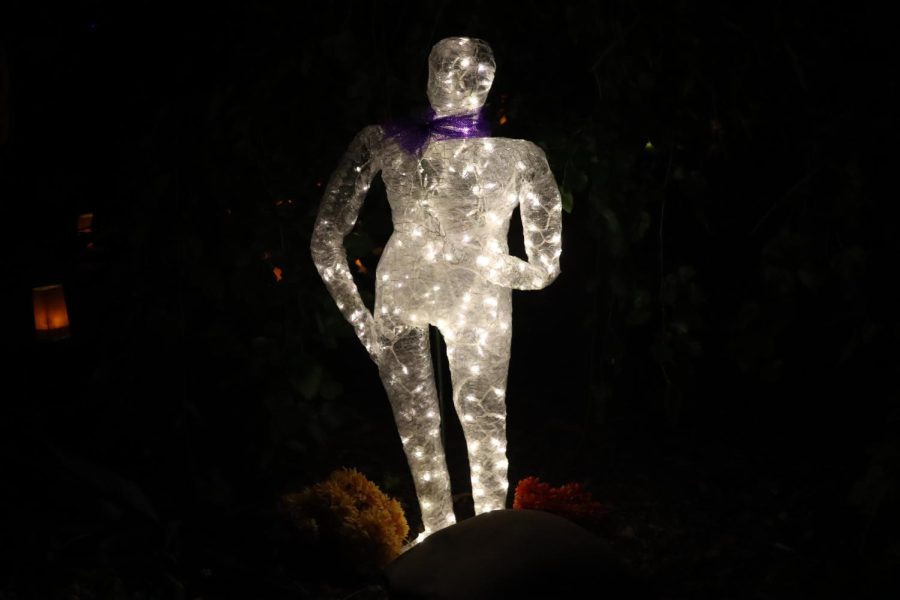 A dapper light display greets viewers as they walk throughout the event.