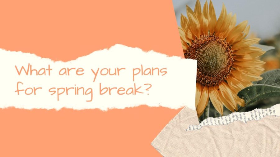 B.O.B: What are your plans for spring break?