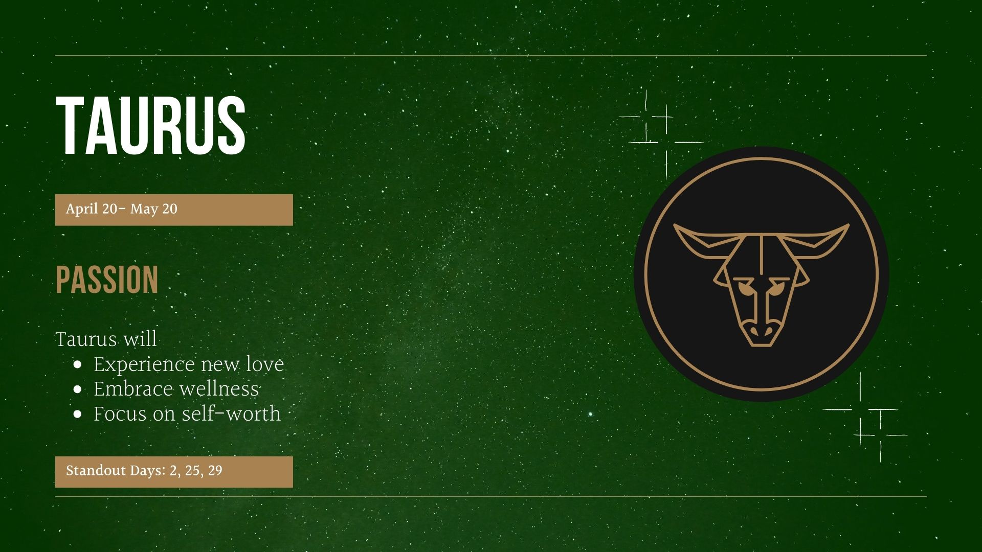 Students share their opinions on horoscopes