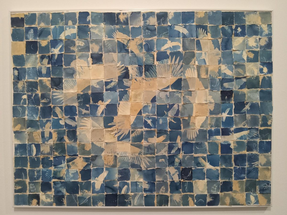 “Soaring” (2012) is a cyanotype collage created by Marydorsey Wanless, visual artist and educator. Inventor Sir John Herschel (1792-1871) discovered that placing a negative on chemical-coated paper and exposing it to UV light leaves a print.