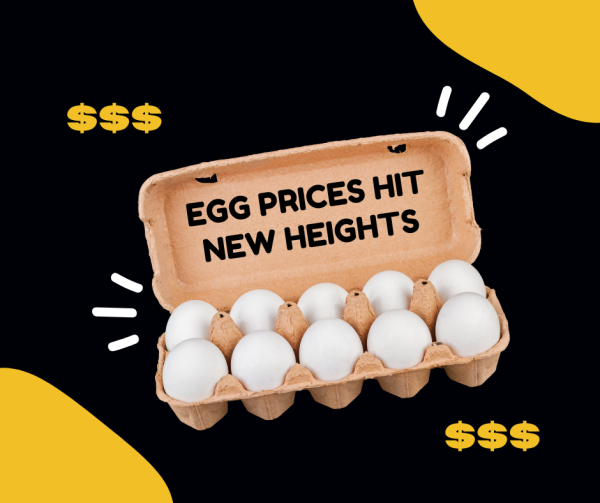 Shoppers are grappling with rising grocery costs. The bird flu outbreak has sent egg prices soaring to record highs. Graphic created by Anushma Dahal.